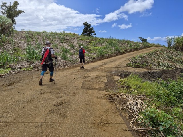 Même la route est rendue boueuse par les roues des tracteurs