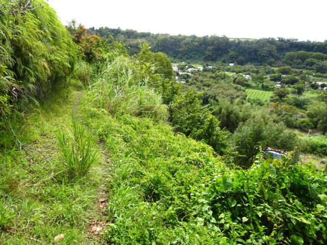 Sentier encore exploitable entre le village et la rivière