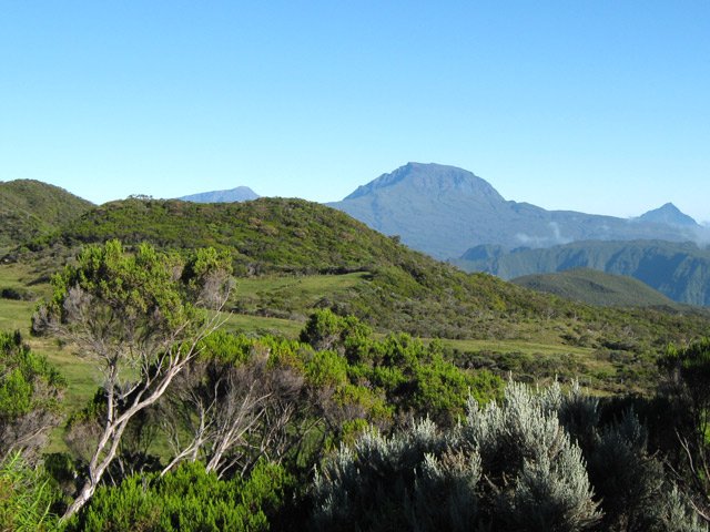 Petit coup d’œil sur les alentours avant de redescendre vers Palmiste Rouge