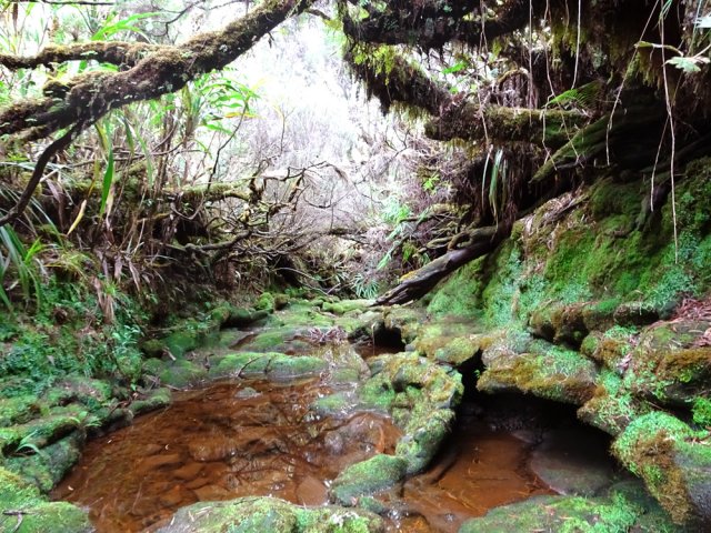 Traversée de la magnifique Ravine St-François