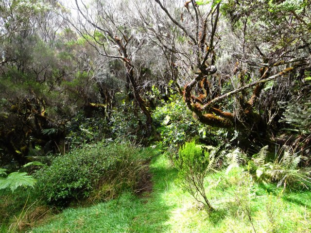Traversée d'une zone herbeuse, moins boueuse qu'ailleurs