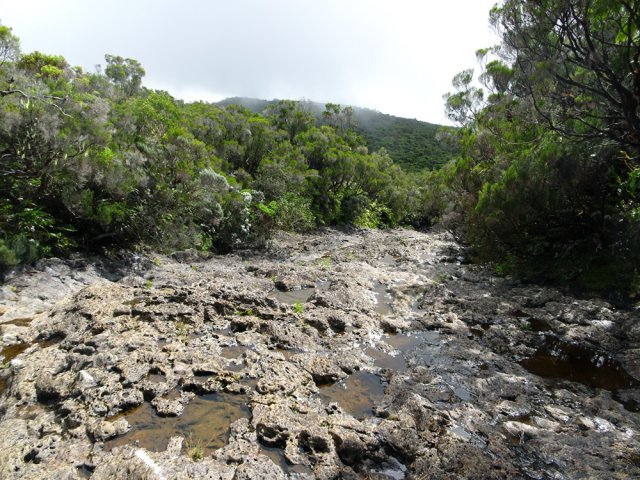 La Ravine Plate porte bien son nom à ce gué