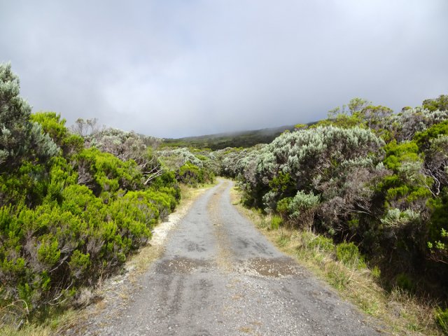 La piste qui permet de souffler un peu avant de monter au Piton de l'Eau