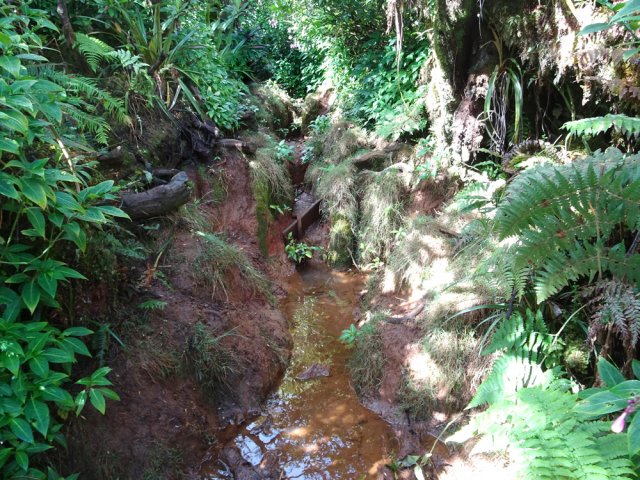 On ne compte pas le nombre de passages boueux sous peine de découragement
