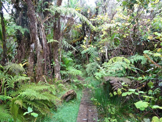 Certains planchers tiennent encore le coup