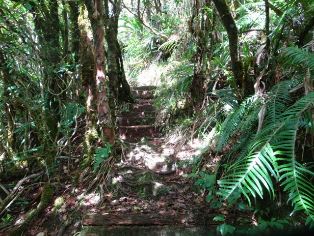 Les petits escaliers sont agréables après les hautes marches en terre