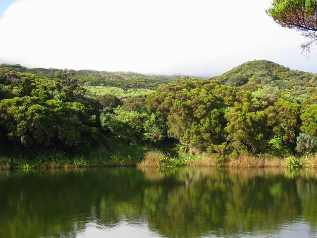 Le Piton des Cochons et le lac du Piton de l'Eau. Tout pour le pique nique