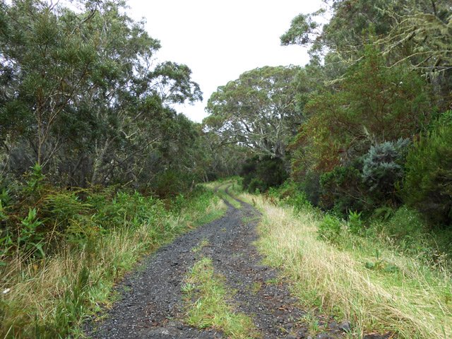 La piste aux alentours de Camp 2000