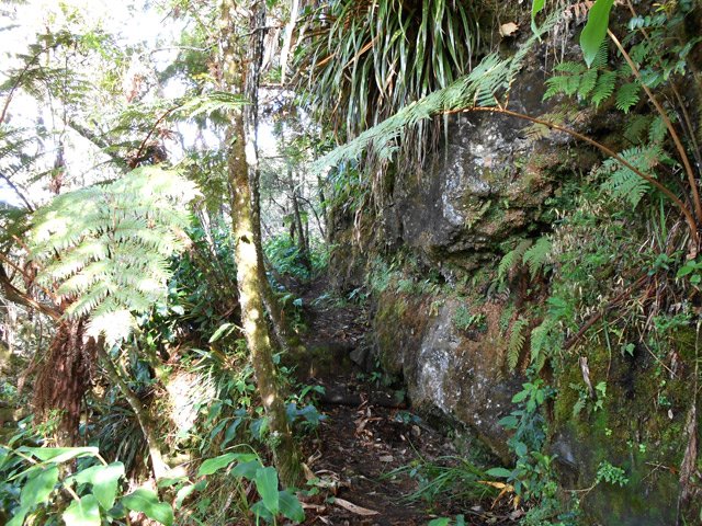 Sentier étroit le long d'une partie rocheuse