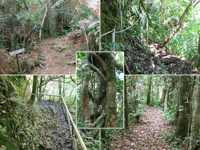 La pancarte au départ et quelques portions du Sentier de Malabar Mort