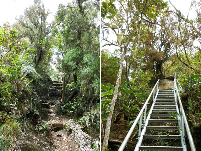Le sentier au petit col et une des 5 échelles peu après.