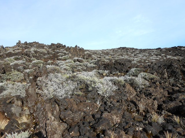 Une idée du cheminement après la caverne