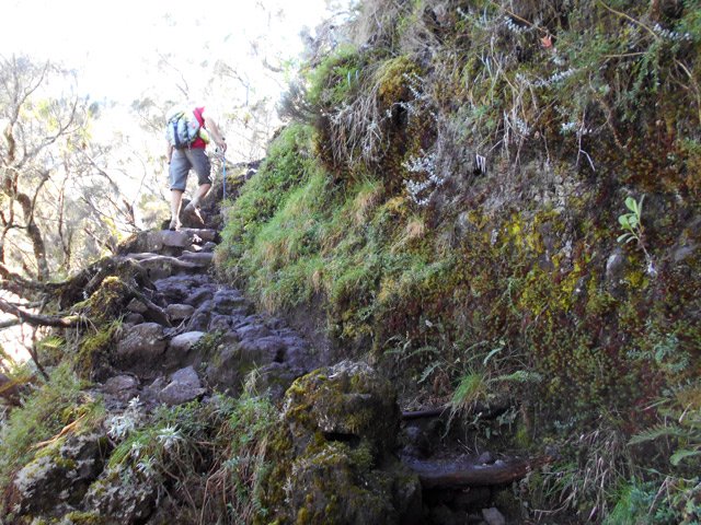 La montée reprend, parfois caillouteuse