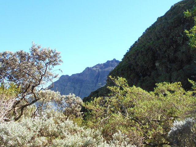Points de vue sur la Piton des Neiges. Encore beaucoup de montée