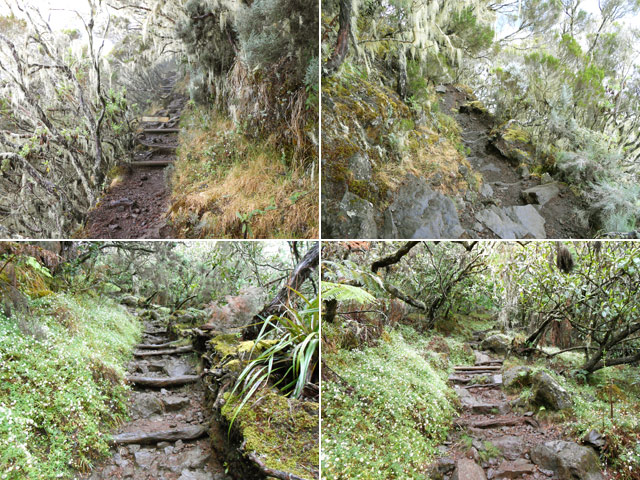 Quelques aspects du sentier en descente dans le brouillard