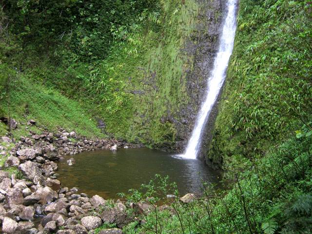 Le bassin dans lequel on peut se baigner