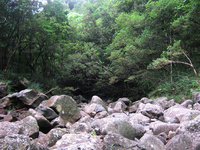 La Grande Ravine en contrebas de la cascade