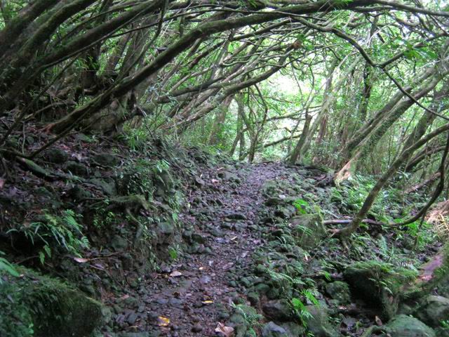 Une autre partie du sentier
