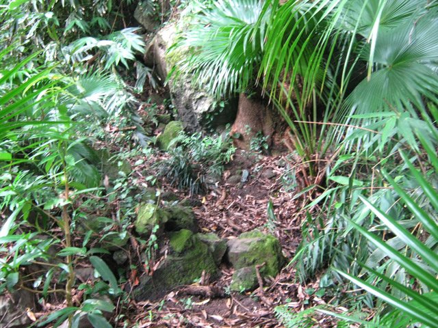 Sentier étroit difficile à suivre