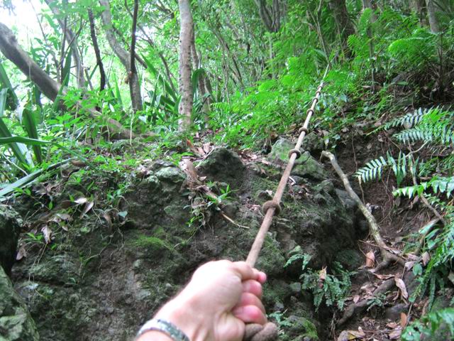 La pente est forte mais assez peu dangereuse à cet endroit