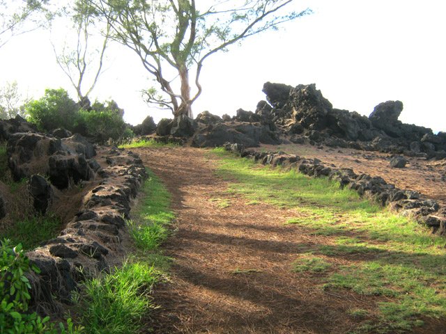 La piste au départ, déjà de très bonne qualité