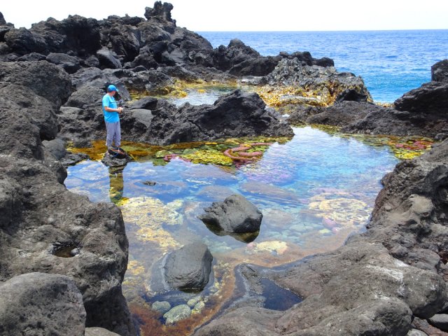 Les bassins avec poissons et coraux derrière le treuil électrique