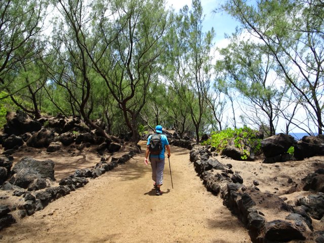 Une véritable autoroute pour joggeurs