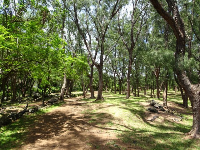 Plusieurs sentiers aux alentours du stade de Langevin