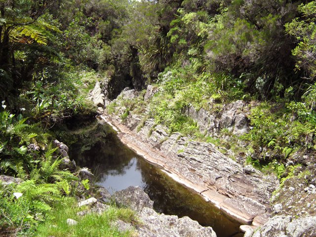 Chansons aval : Nouveau bassin sans poisson