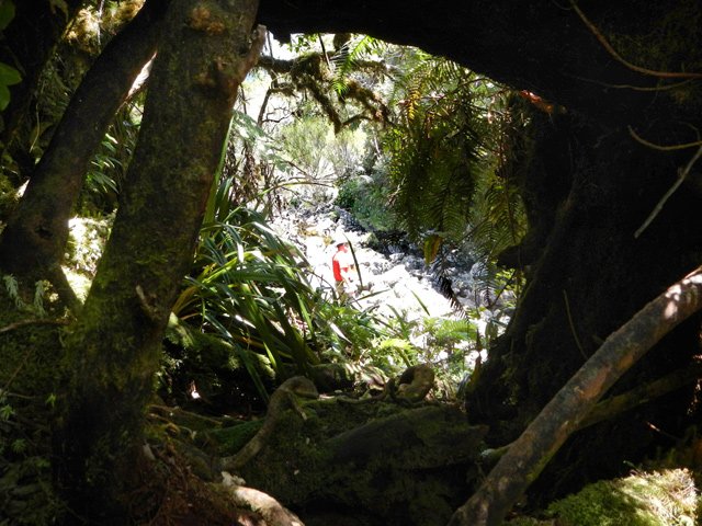 Chansons aval : le passage s'effectue dans un tunnel végétal