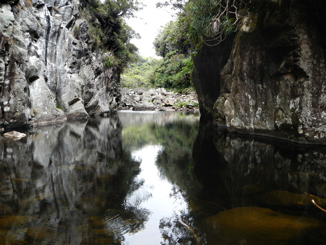 Marsouins amont : La retenue d'eau qui impose un retour