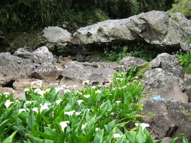 Chansons amont : Une petite cascade à sec une bonne partie de l'année