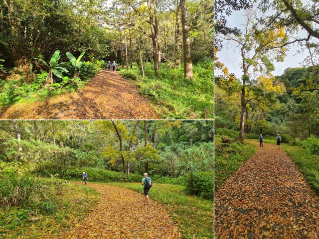 Vrai plaisir d'automne au mois de septembre avec les feuilles mortes
