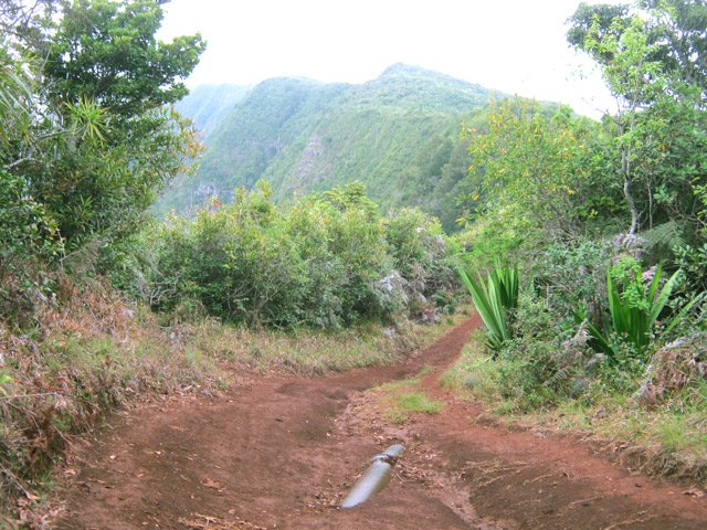 Le tuyau apparaît là ou la terre est plus usée par les pluies et les passages