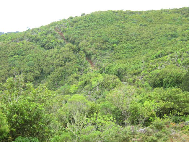 Une vue sur le sentier en se retrournant