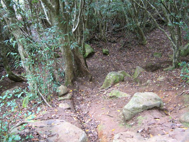 Le sentier redescend vers Saint-Bernard