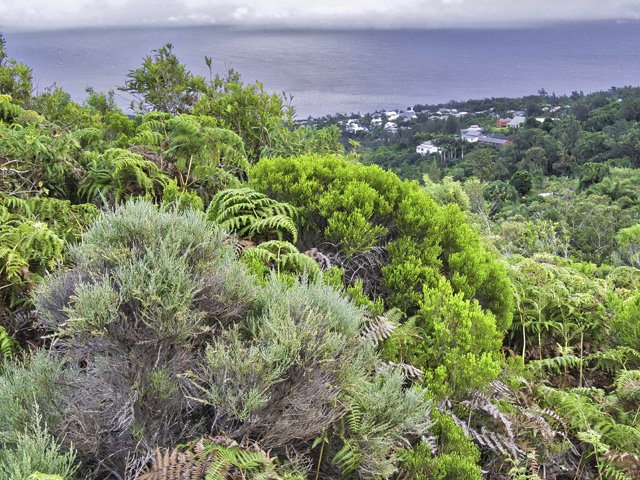 Quelques points de vue sur la mer du côté de Saint-Bernard