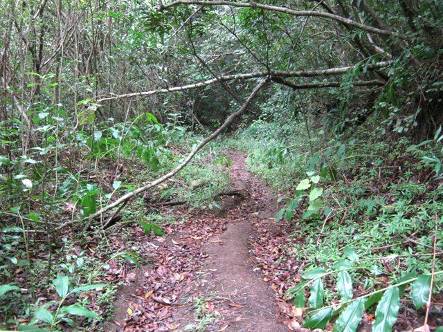 Prendre à droite au premier croisement su ce sentier étroit