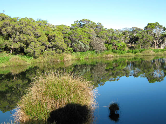 Beau lac de cratère entouré de joncs et bois de couleurs