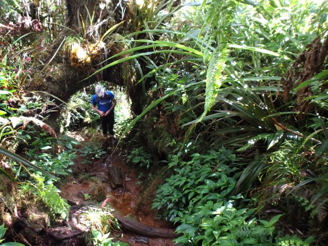 Il faut se baisser tout en essayant de ne pas glisser sur la boue