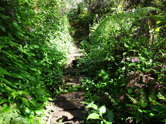 Attention à ces passages vermoulus dangereux en cas de chute