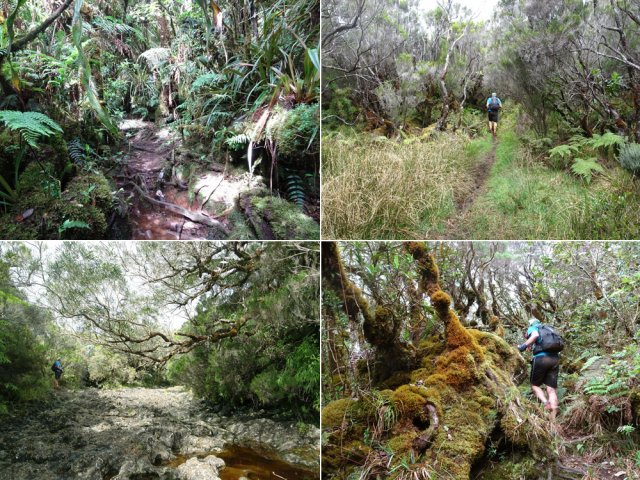 Divers aspects du sentier et de la Ravine Plate