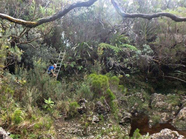 Une échelle appréciée pour franchir une berge verticale