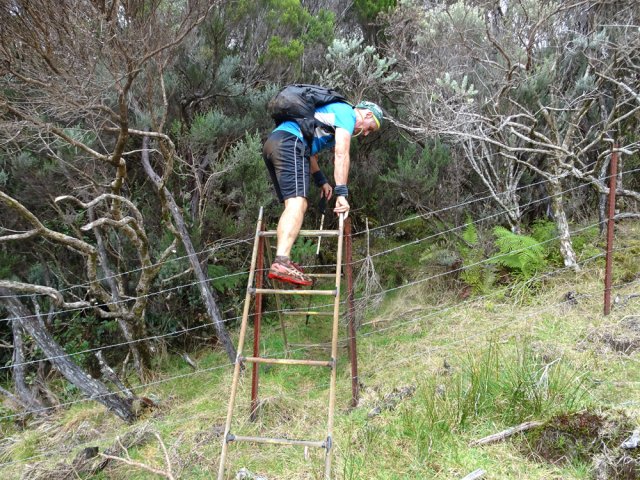 L'échelle la plus importante pour reprendre le fil du parcours après la prairie