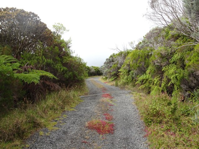 La piste descendant vers le Piton de l'Eau