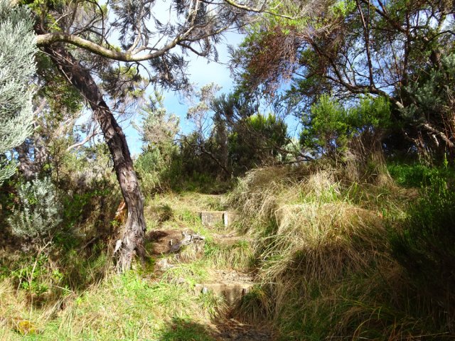 Le raccourci, de moins en moins utilisé, s’envahit d'herbe