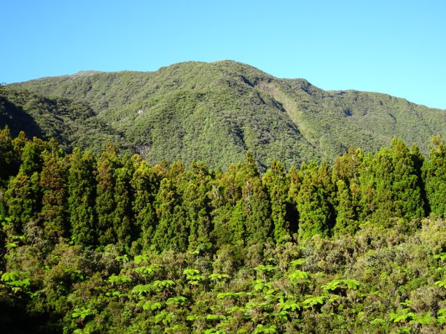 Le sentier domine le cratère du Piton Doré