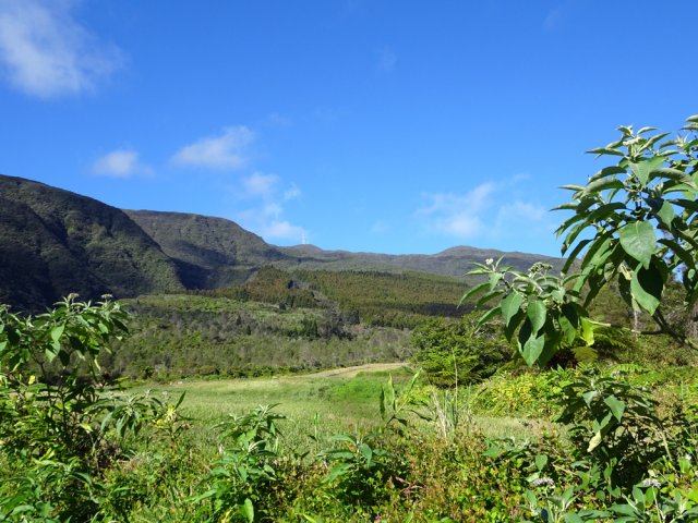 Point de vue sur les antennes du Piton Textor depuis les prairies
