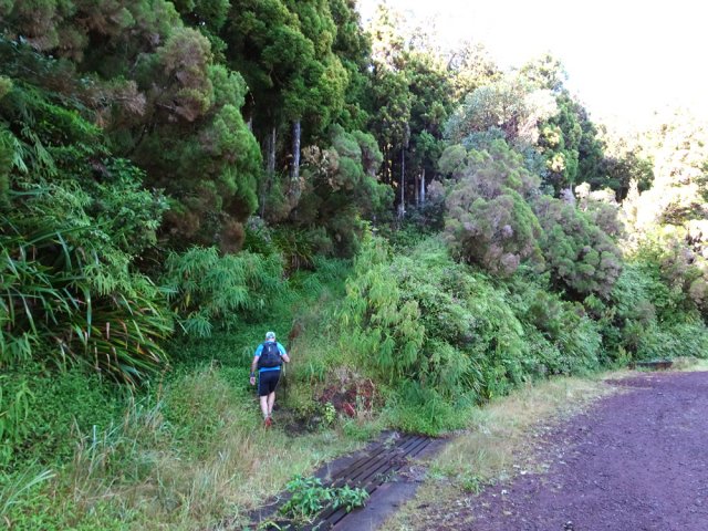 Début du sentier du Piton des Cabris