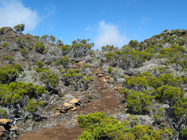 Le sentier qui redescend au Piton Textor